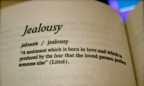 A sentiment which is born in love and which is produced by the fear that the loved person prefers someone else. jealousy quotes