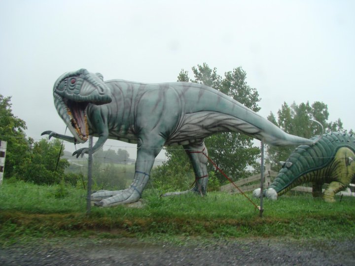  Cool dinosaur pictures