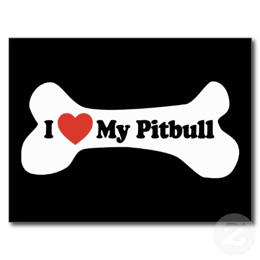 I ? My Pitbull pitbull picture